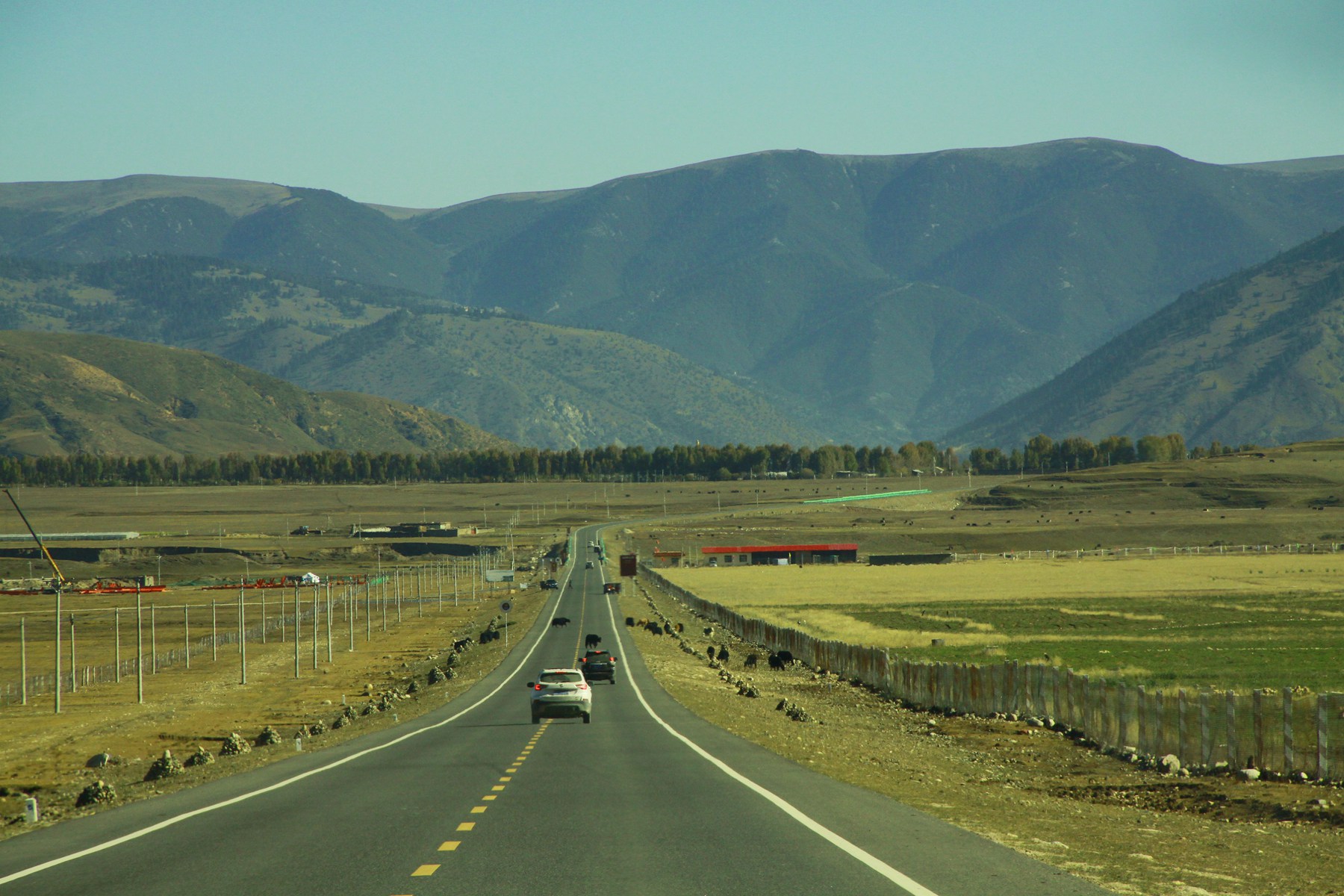 _MG_6004.JPG