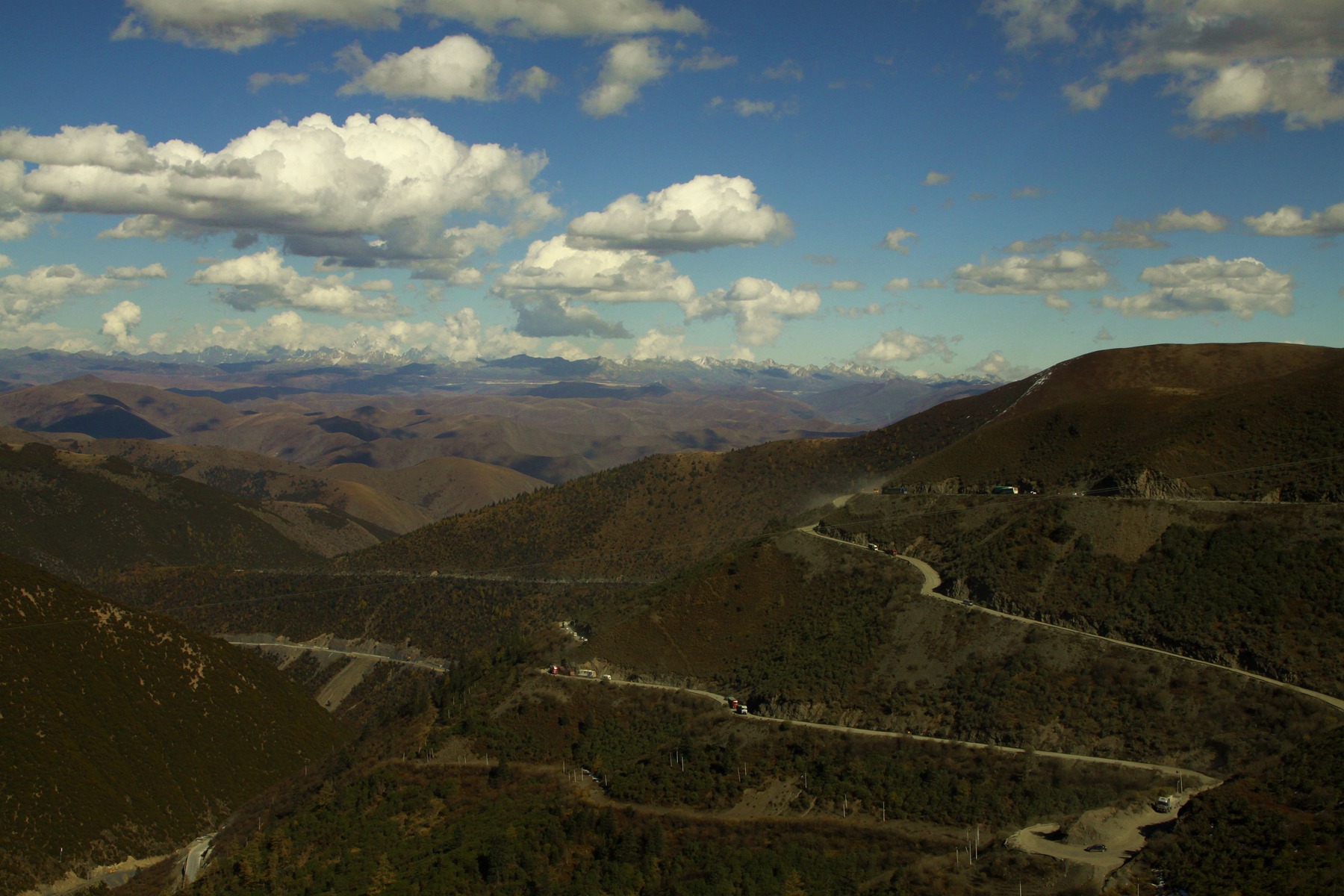 _MG_6017.JPG