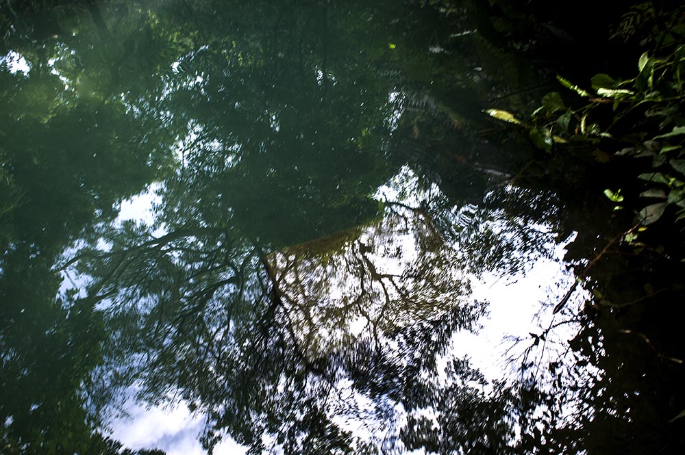 _0x2010.jpg