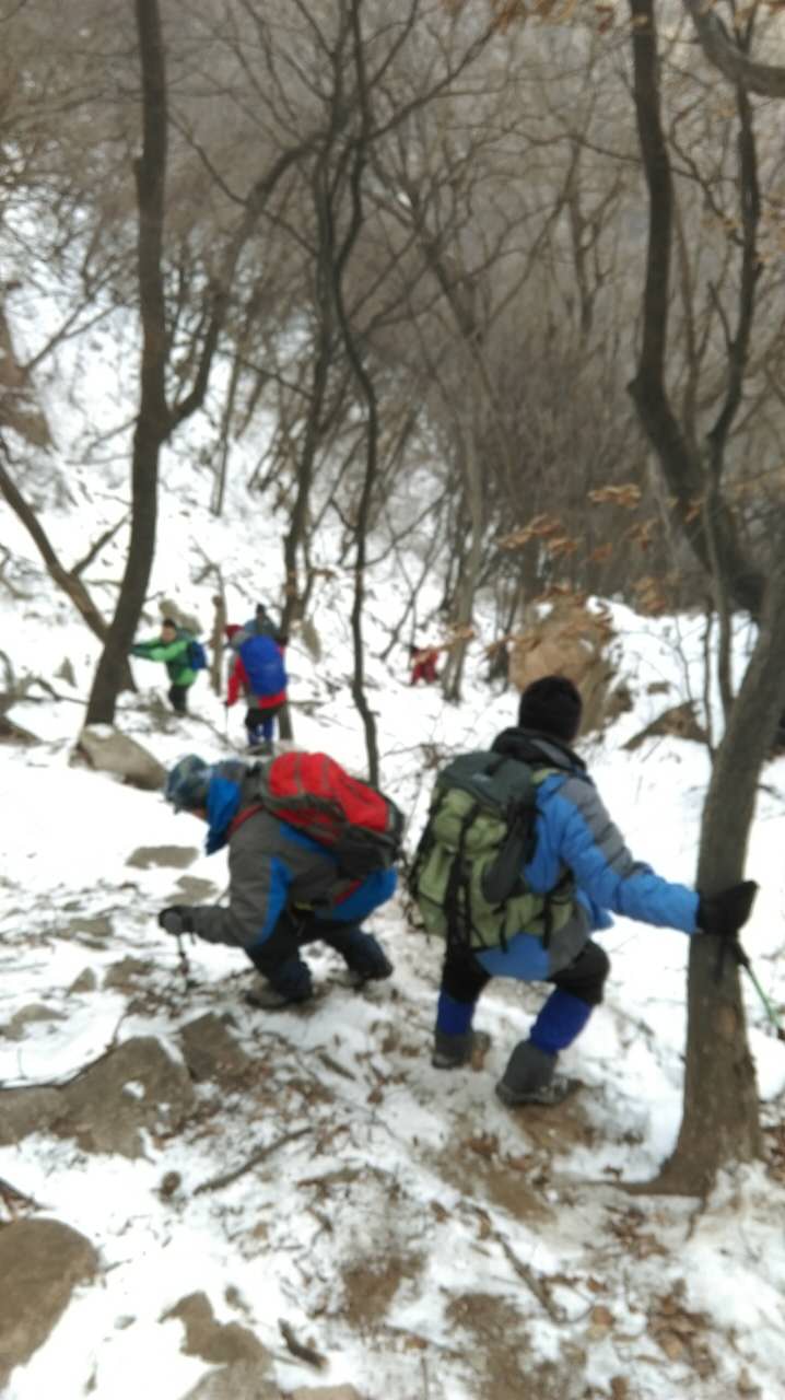15.jpg