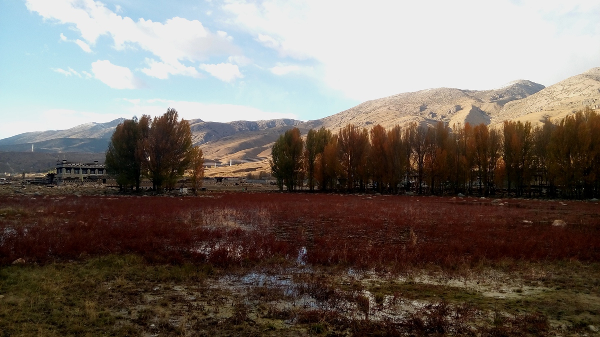 IMG_20151019_175518_副本.jpg