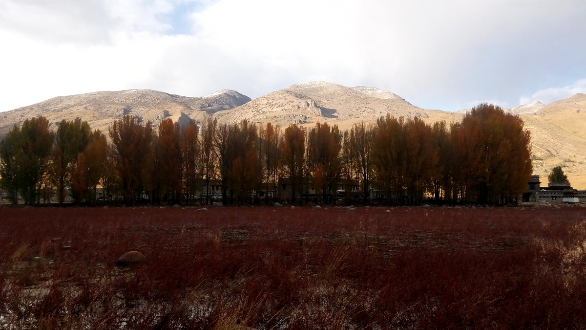 IMG_20151019_174548_副本.jpg