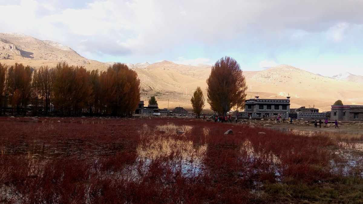 IMG_20151019_175432_副本.jpg