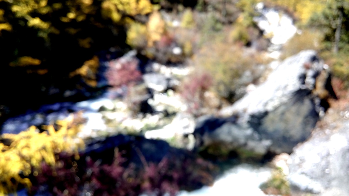 IMG_20151020_123925_副本.jpg
