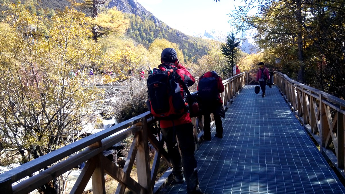 IMG_20151020_130926_副本.jpg