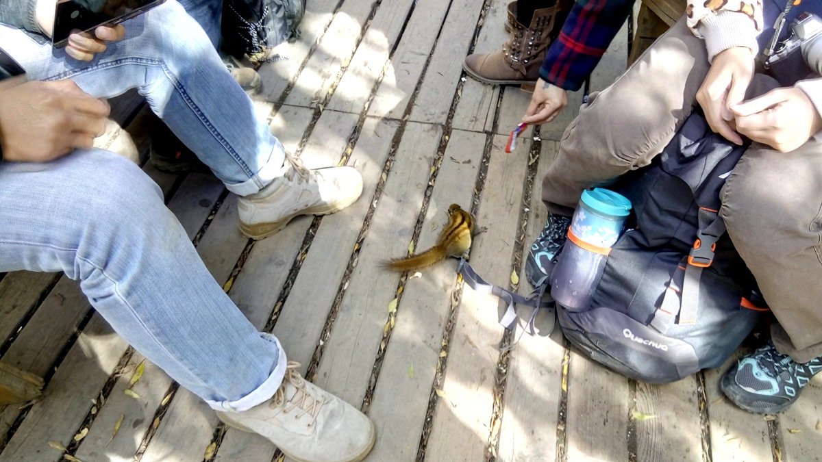 IMG_20151020_154354_副本.jpg