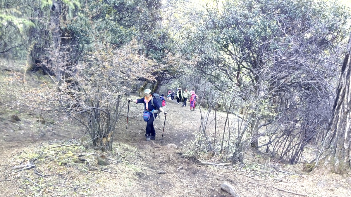 IMG_20151020_162504_副本.jpg