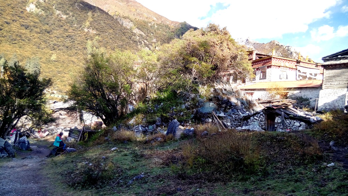 IMG_20151020_164152_副本.jpg