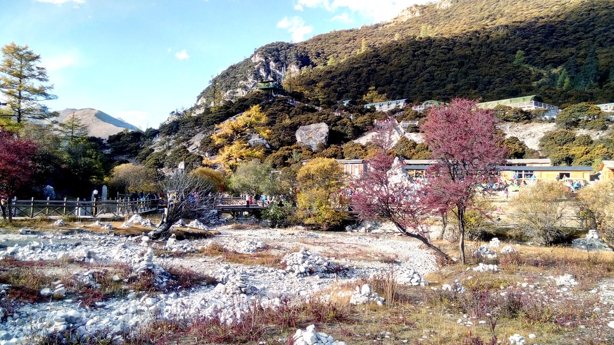 IMG_20151020_170234_副本.jpg