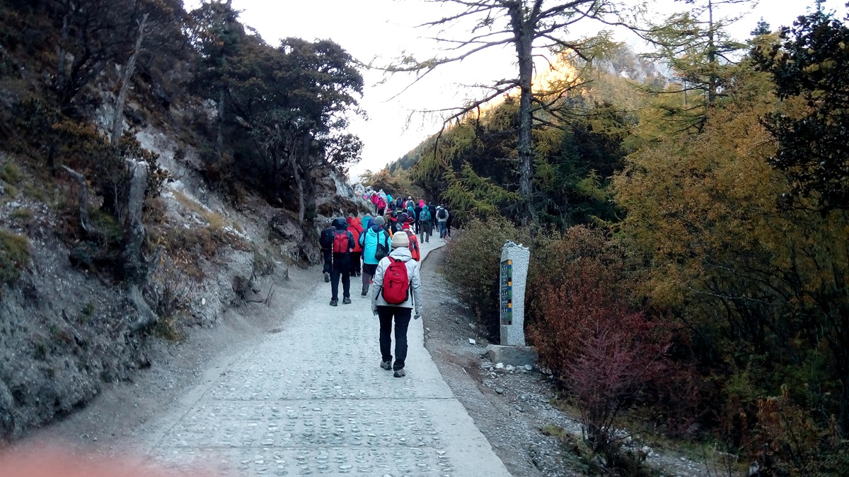 IMG_20151021_080730_副本.jpg