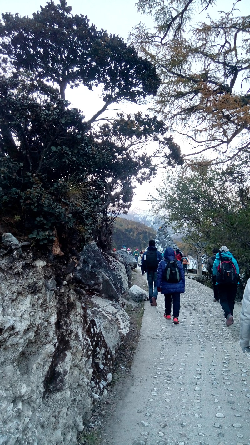 IMG_20151021_081608_副本.jpg
