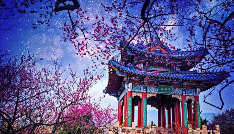 特价390元 3月4日南京梅花山 明孝陵 玄武湖 中