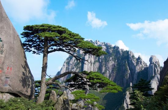 黄山.jpg 黄山.jpg