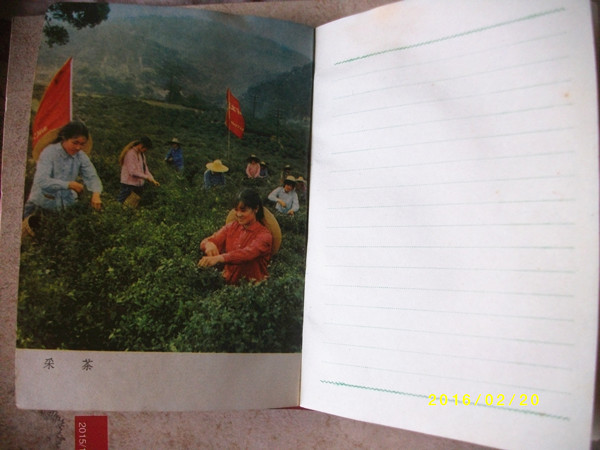 ALIM0006_副本.jpg