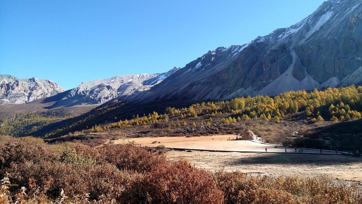 IMG_20151021_094138_副本.jpg
