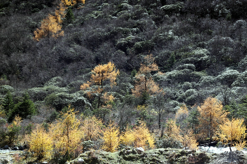 8E2A9518.jpg