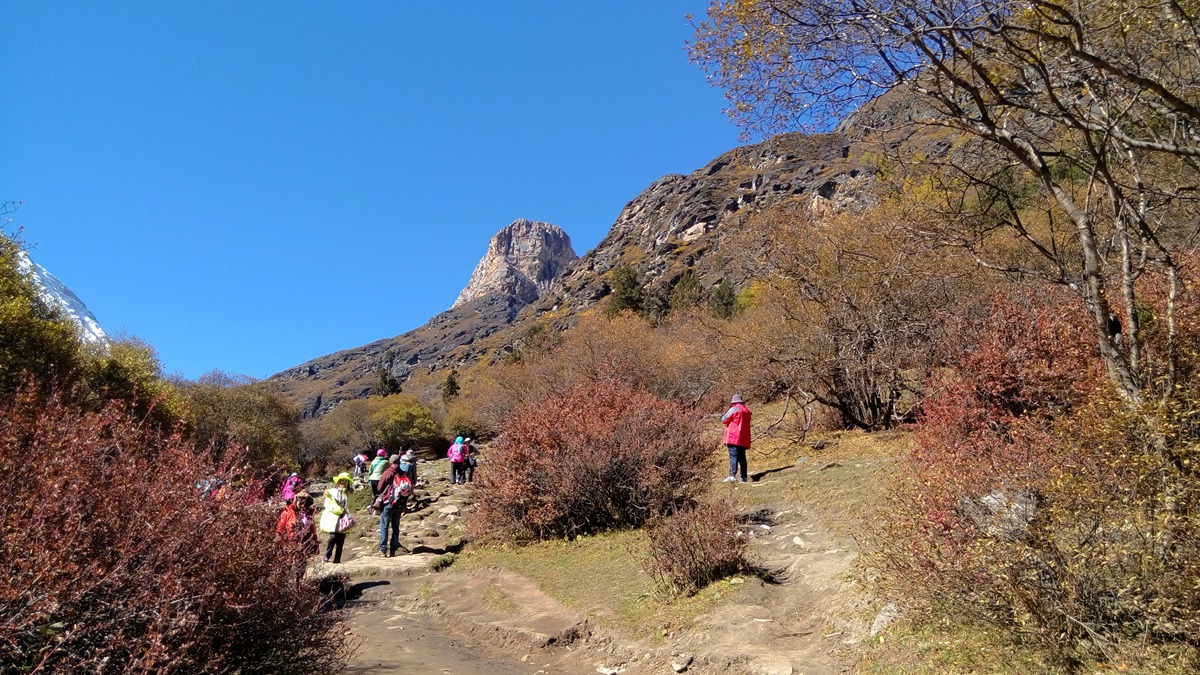 IMG_20151021_111654_副本.jpg