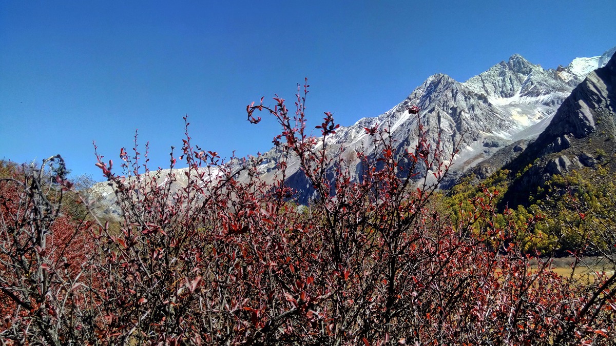 IMG_20151021_112348_副本.jpg