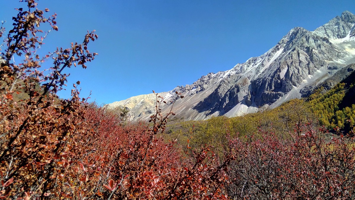 IMG_20151021_112325_副本.jpg