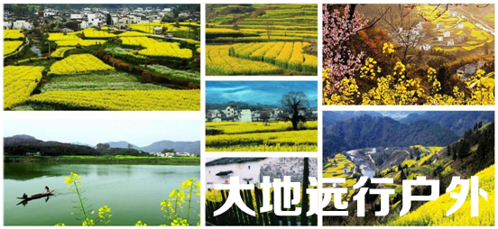 QQ图片20160217105629_副本.png QQ图片20160217105629_副本.png