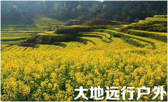 QQ图片20160217105655_副本.png QQ图片20160217105655_副本.png