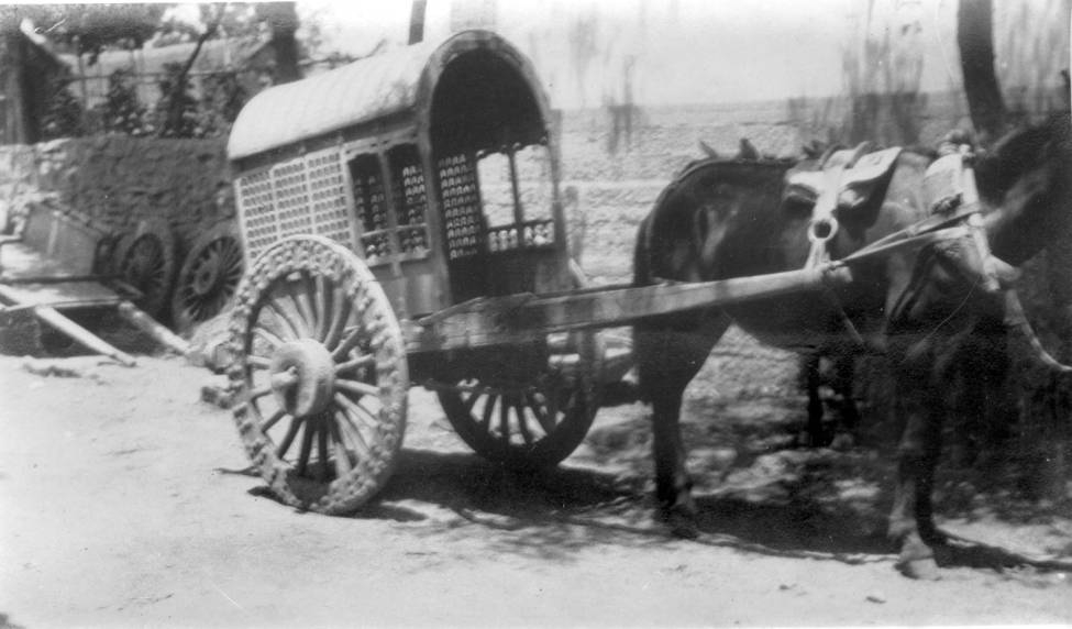 当时农村的“宝马轿车”