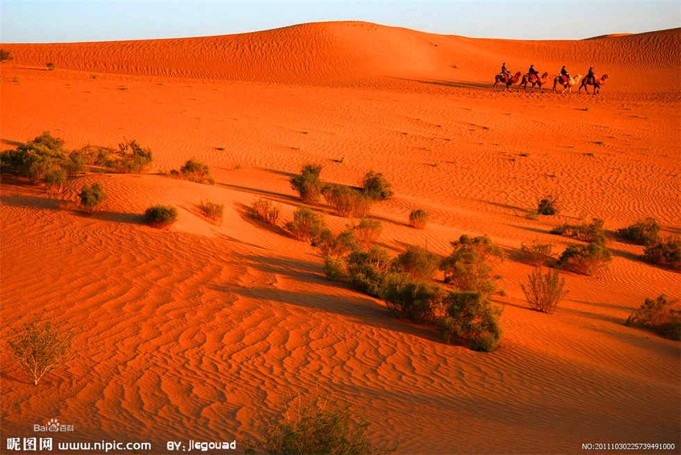 7e3e6709c93d70cf32d52a48f9dcd100baa12b43_副本.jpg 7e3e6709c93d70cf32d52a48f9dcd100baa12b43_副本.jpg