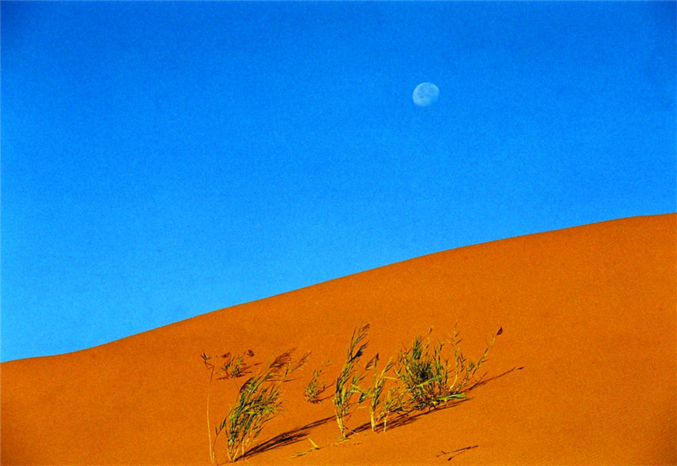 129190_1337295618_副本.jpg 129190_1337295618_副本.jpg