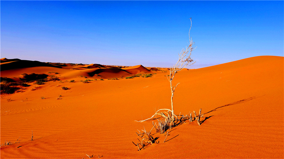 13868554_1444662443762_副本.jpg 13868554_1444662443762_副本.jpg