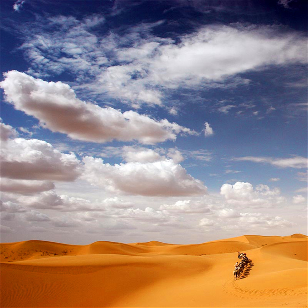 17352570_副本.jpg 17352570_副本.jpg