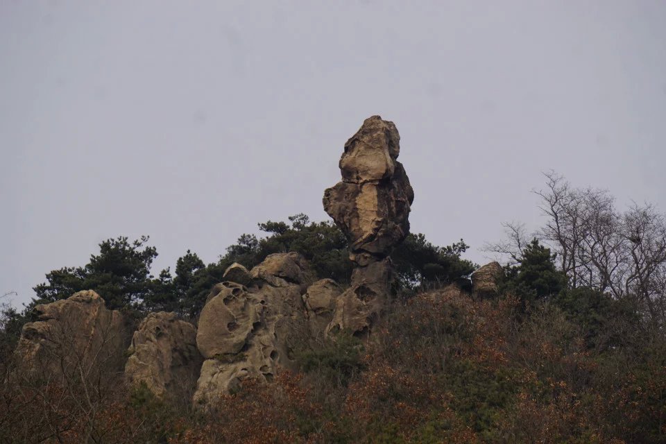 psb (9).jpg