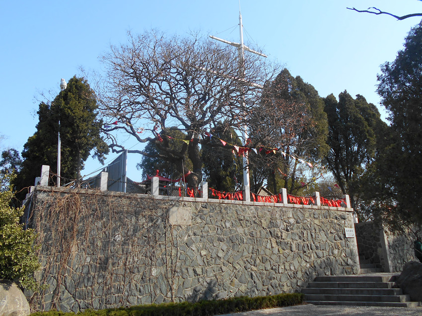 旗语杆 1.jpg