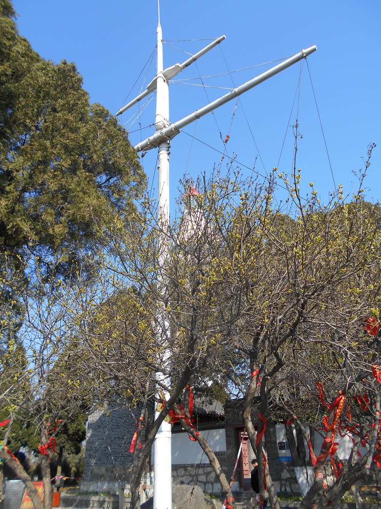 旗语杆 4.jpg