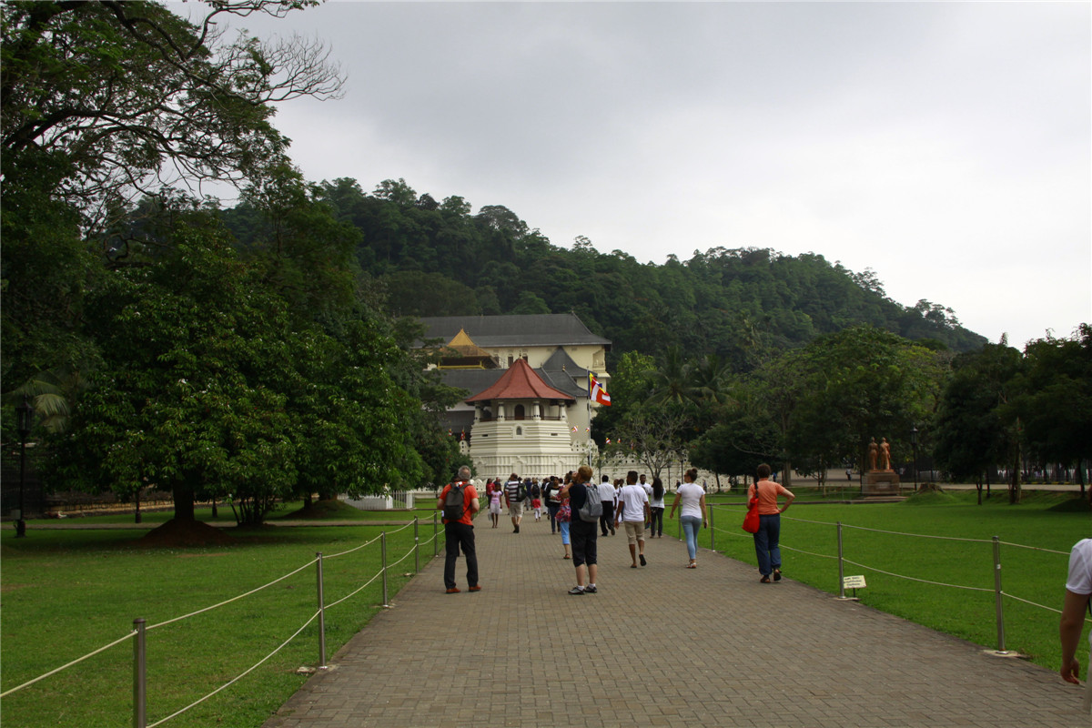 _MG_7848_看图王.jpg