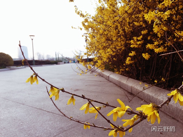 QQ图片20160406150702.jpg