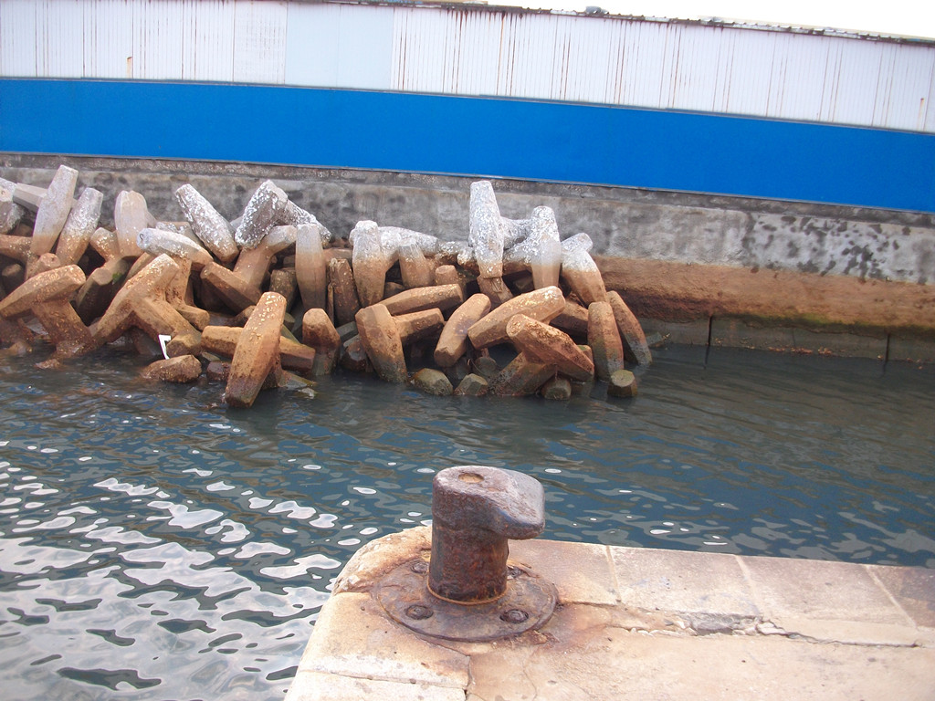 通伸河入海口07.jpg