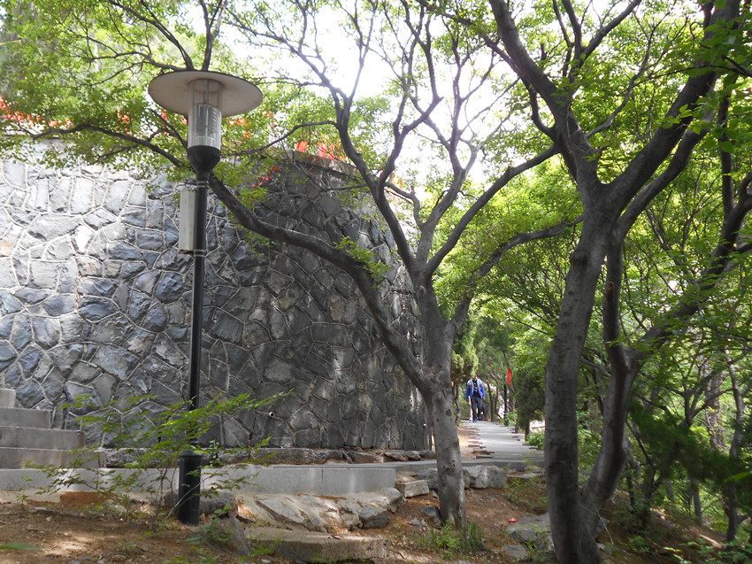 游烟台山 5.jpg