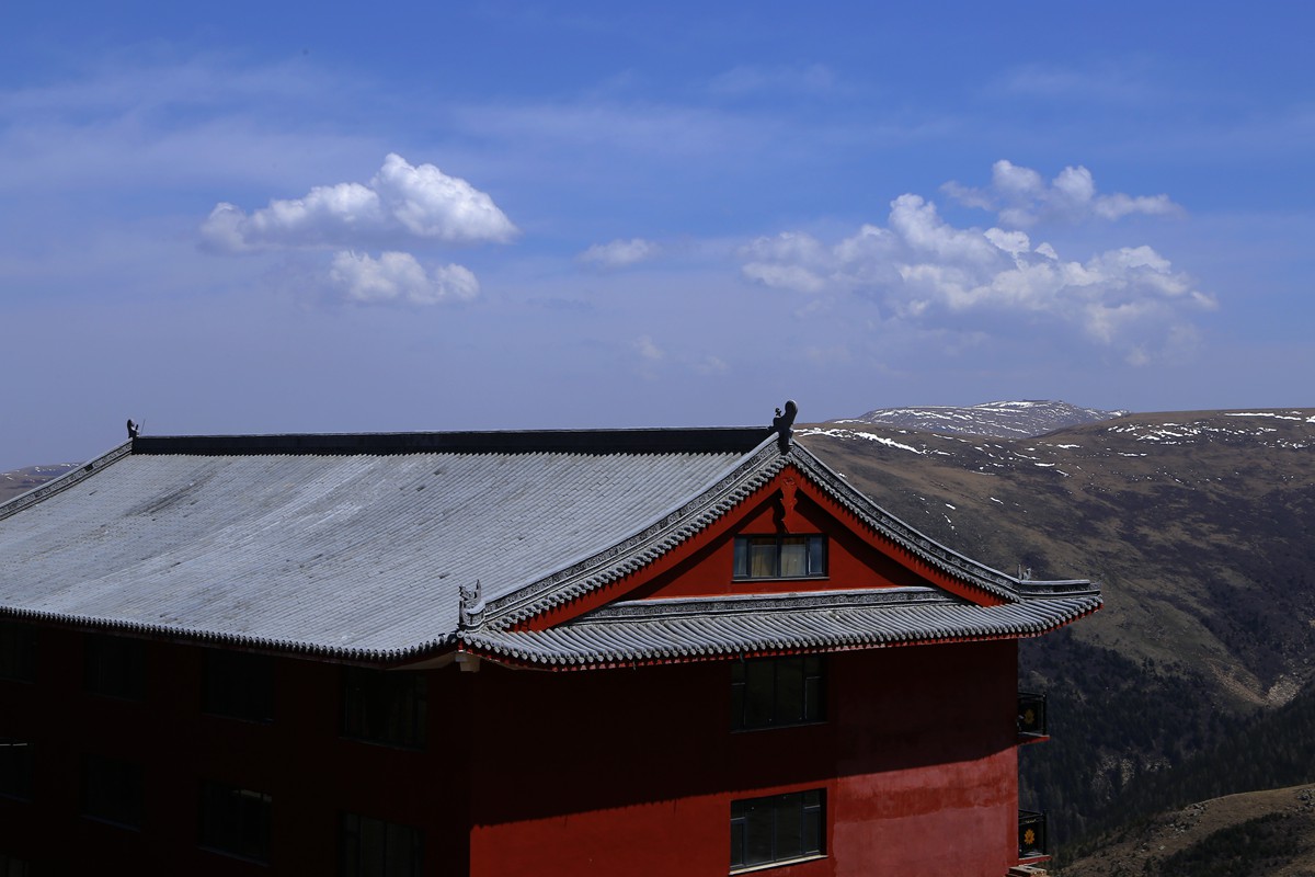 _MG_2009_副本.jpg