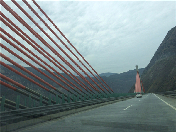 mtxx0111.jpg