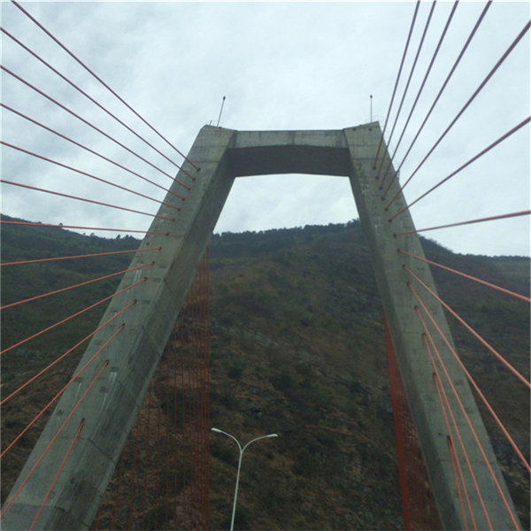 mtxx0116.jpg