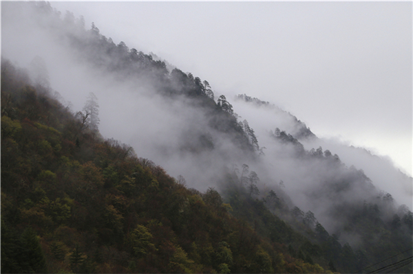 mtxx0136.jpg