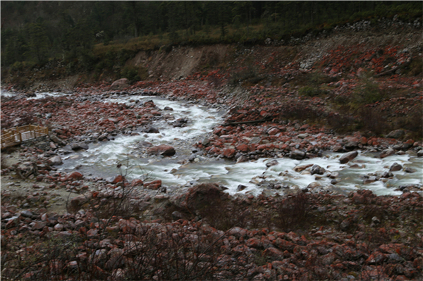 mtxx0165.jpg
