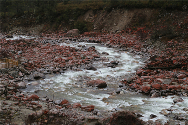 mtxx0174.jpg