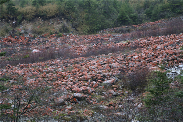 mtxx0180.jpg