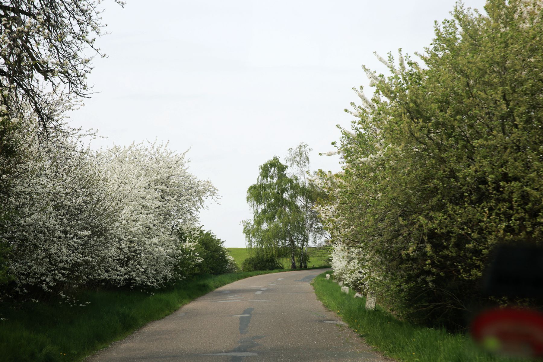 IMGL0555.JPG