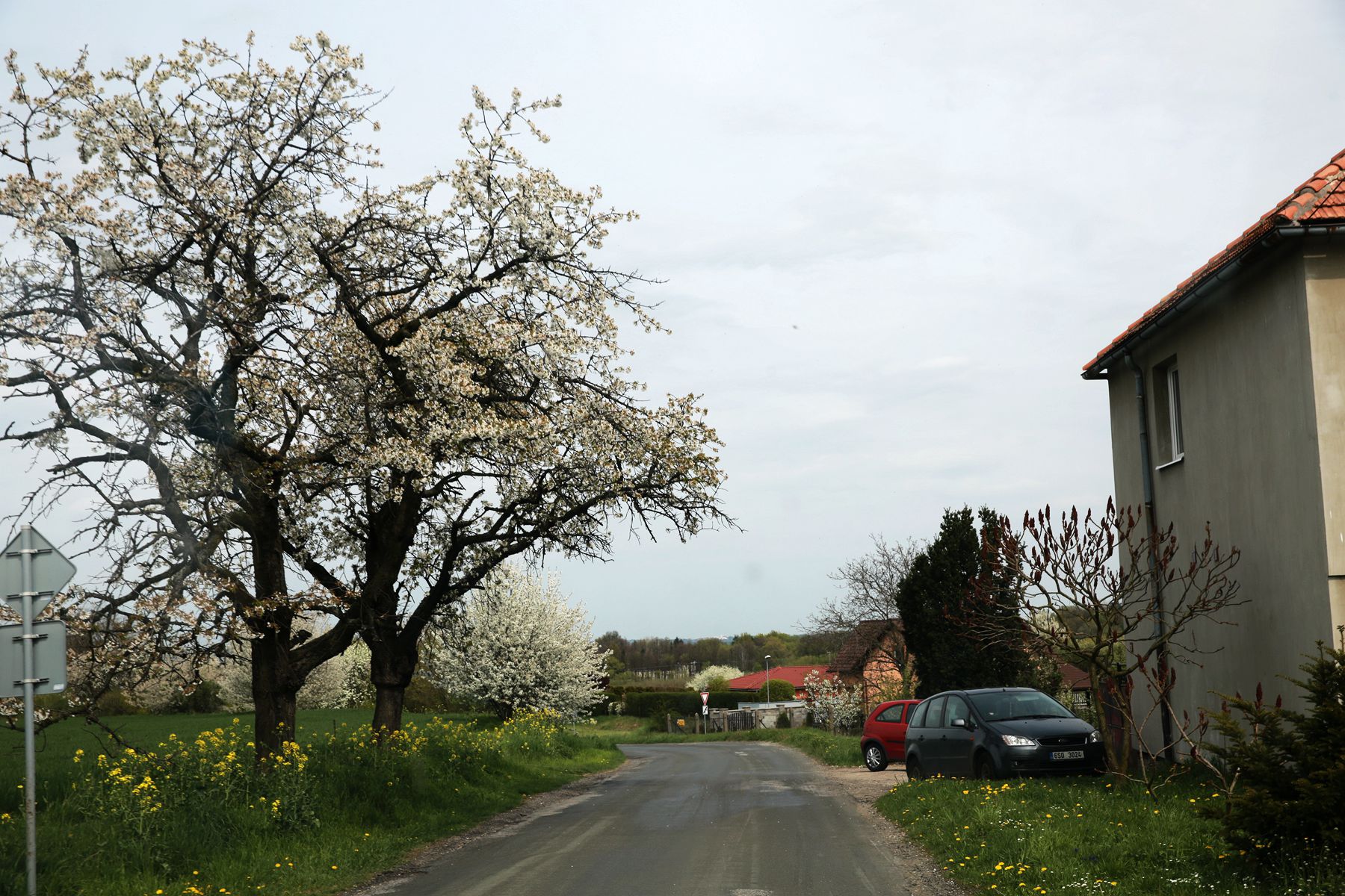 IMGL0558.JPG