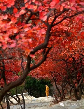 QQ图片20161011123601.png