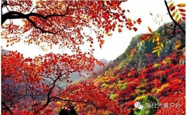 QQ图片20161011124448_副本.jpg