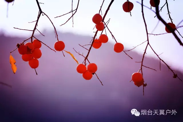 QQ图片20161011124623_副本.jpg
