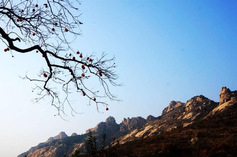 跟随前线户外,走进天崮山 - 前线 - 前线视界 495.jpg